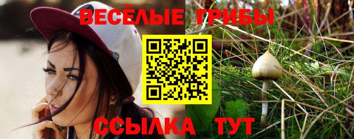 Псилоцибиновые грибы мухоморы  Галлюциногенные грибы Psilocybine cubensis  Вход с VPN  Похвистнево 