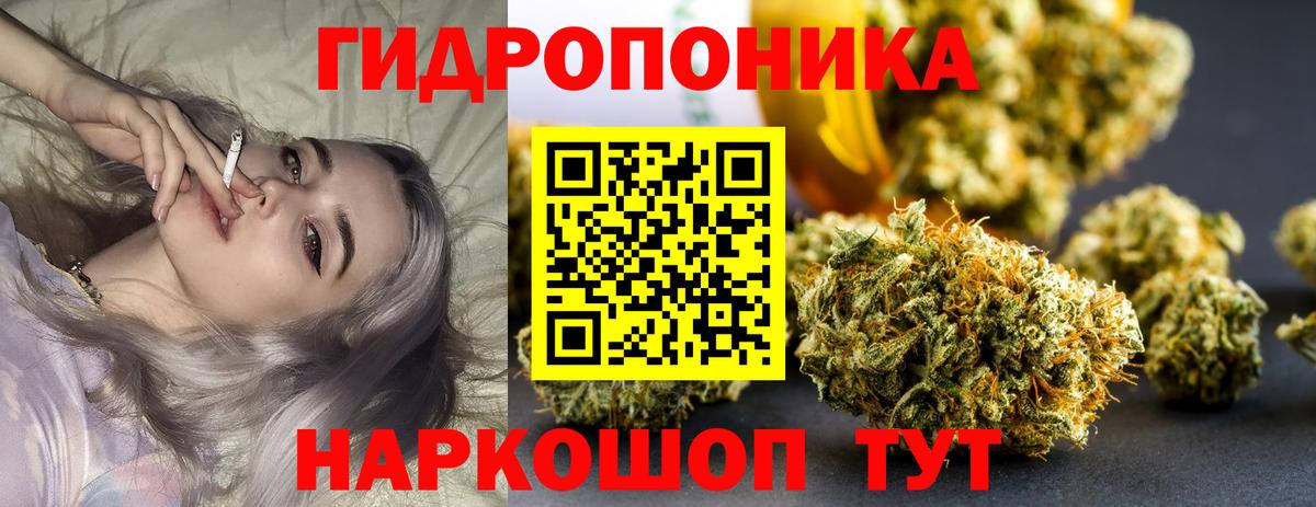 Похвистнево  Шишки марихуана планчик  Вход с VPN  Марихуана White Widow  Каннабис конопля 